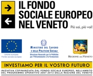 work experience 2013 fondo sociale europeo